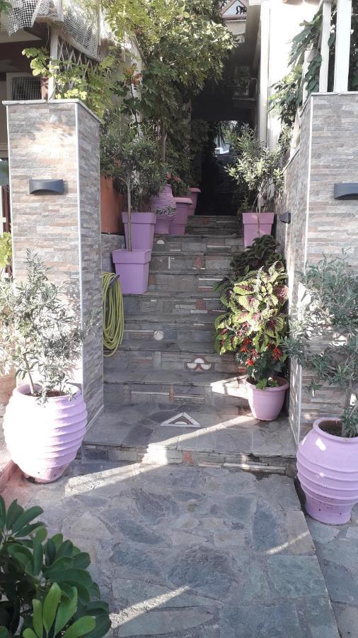 פטיטיריון Pension Galazios Kolpos מראה חיצוני תמונה