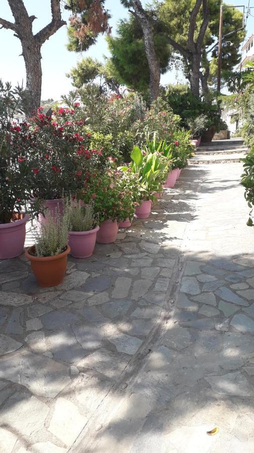פטיטיריון Pension Galazios Kolpos מראה חיצוני תמונה